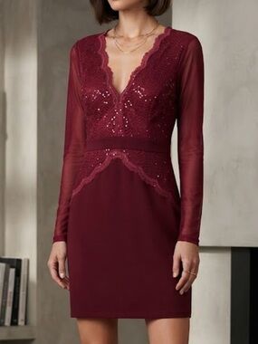 Entry Lace Dress